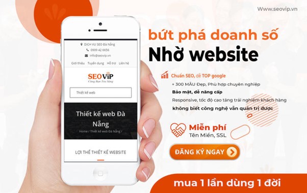 Dịch vụ xây dựng Website của SEOViP